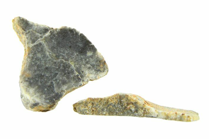 Two Lunar Meteorite Fragments - Bechar #291725